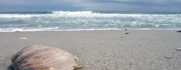 Hoteles de playa en Long Branch