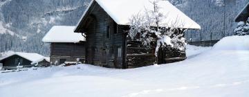 Chalets de montaña en Zinal