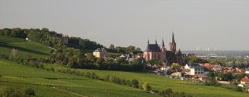 Cheap Hotels in Oppenheim