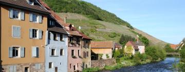 Hotels met Parkeren in Staffelfelden