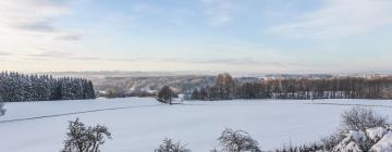 Hotell med parkering i Kronburg