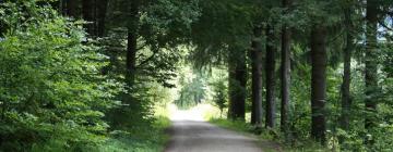 Hotel dengan Parking di Menzenschwand-Hinterdorf