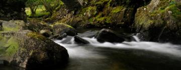 ที่พักให้เช่าในDinas Mawddwy