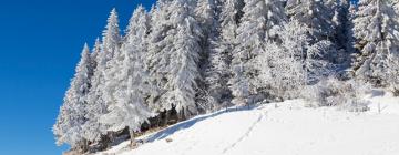 Hoteles en La Vue des Alpes