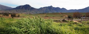 Bed & Breakfasts in Tulbagh