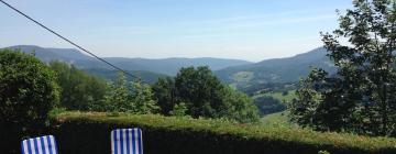 Holiday Rentals in Lapoutroie