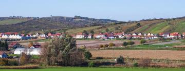 Hoteles en Bořetice