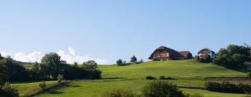 Apartamentos en Soprabolzano