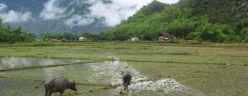 Hoteles en Mai Chau