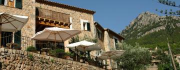 Holiday Homes in Campanet