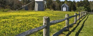 Cottages in Brewster