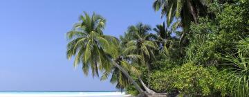 Beach Hotels in Athuruga Island