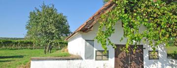 Guest Houses in Jennersdorf