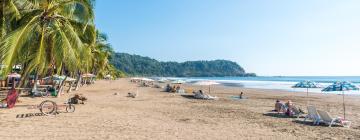 Hoteles que admiten mascotas en Nicoya