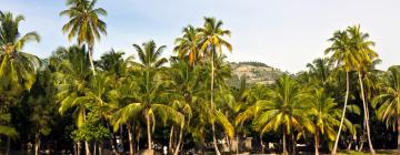 Vacanze economiche a Les Cayes