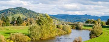 Hotels mit Parkplatz in Fischerbach