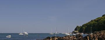 Hoteles que admiten mascotas en Cawsand