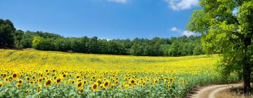 Hoteles familiares en Villiers-le-Mahieu