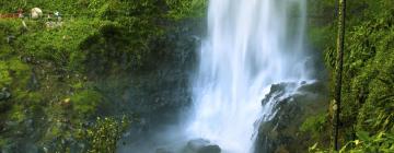 Hótel með bílastæði í Springbrook