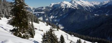 Séjours au ski à Buchen
