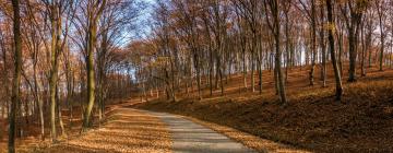 Parkolóval rendelkező hotelek Nyárádtőn