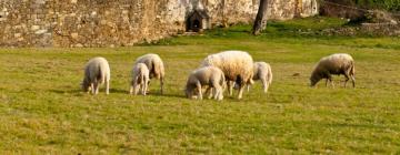 Case per le vacanze ad A Torre Branca