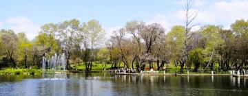 Riads en Ifrane