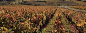 Parkolóval rendelkező hotelek Corcelles-en-Beaujolais-ben