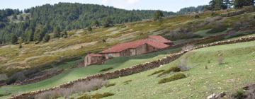 Hoteles que aceptan mascotas en Gea de Albarracín