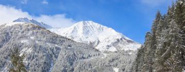 Resorts de esquí en Stuben am Arlberg