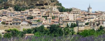 Holiday Rentals in Cadenet