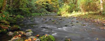 Hotels with Parking in Goldstream Station