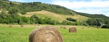 Alquileres vacacionales en Bivigliano