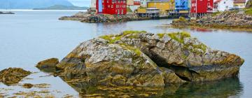 Ferieboliger ved stranden i Nyksund