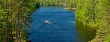 Holiday Rentals in Mäntyharju