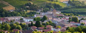 Hotels in Salles-Arbuissonnas