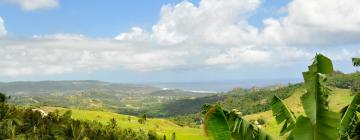 Hotel dengan Parking di Saint Thomas