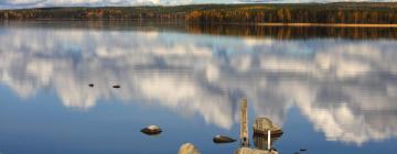 Ferienhäuser in Kannonkoski