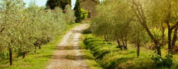 Bed and breakfasts a Greve in Chianti