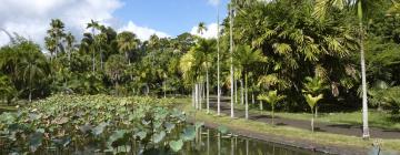 Hotels mit Parkplatz in Pamplemousses Village