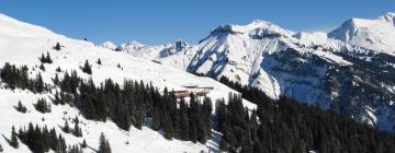 Ski Resorts in Elm