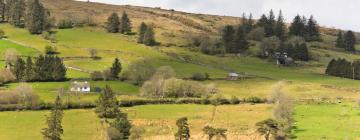 Bed and Breakfasts en Glenties