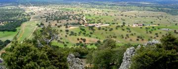 Hotels a Villarreal de San Carlos