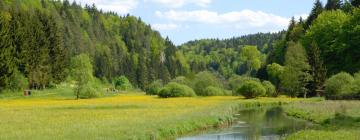 Hoteles en Bad Alexandersbad