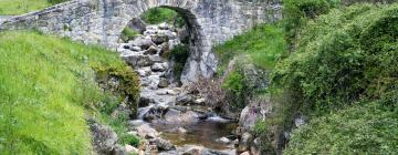 Country Houses in Poo de Cabrales