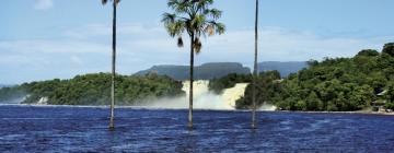 Billiga semestrar i Canaima