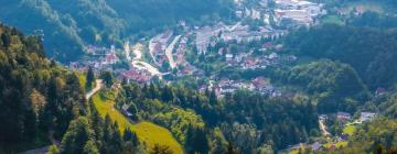 Apartments in Spodnja Idrija