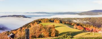 Hoteller i Kirchberg