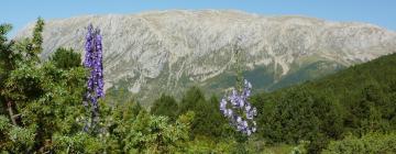 Holiday Rentals in Vilas del Turbon