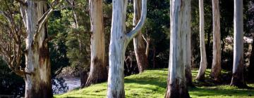 Mahogany Creek şehrindeki otoparklar